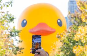 CANADA-TORONTO-GIANT RUBBER DUCK