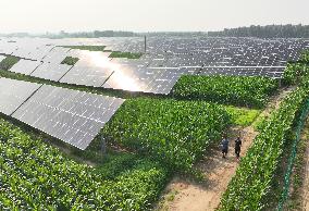 CHINA-NORTHEASTERN PROVINCES-CLEAN ENERGY (CN)