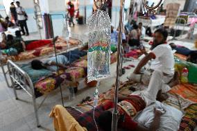 Dengue In Dhaka