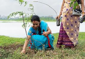Ten Million Tree Plantation Drive In Assam, India