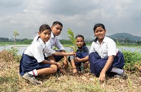 Ten Million Tree Plantation Drive In Assam, India