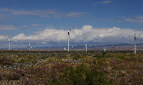 Wind Power in Alashankou