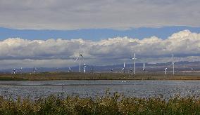 Wind Power in Alashankou