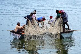Fishermen Catch Fish Inside The Lake In Ajmer - India