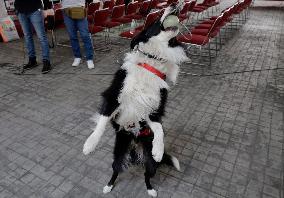 Mexican Red Cross Hands Over Donations To Canine Binomial Members Of The Search And Rescue Team In Collapsed Structures