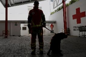 Mexican Red Cross Hands Over Donations To Canine Binomial Members Of The Search And Rescue Team In Collapsed Structures