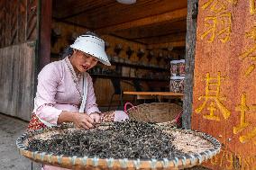 CHINA-YUNNAN-PU'ER-OLD TEA FORESTS-WORLD HERITAGE SITE-MODERN LIFE (CN)
