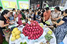 (EnchantingGuangxi) CHINA-GUANGXI-NANNING-ASEAN-EXPO-PUBLIC OPEN DAY (CN)