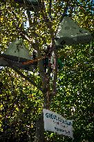 Activists On Hunger Strike In Front Of The Ministry Of Ecological Transition - Paris