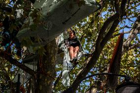 Activists On Hunger Strike In Front Of The Ministry Of Ecological Transition - Paris
