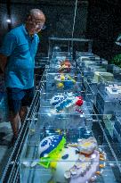 A Creative Cakes Shop in Chengdu, China