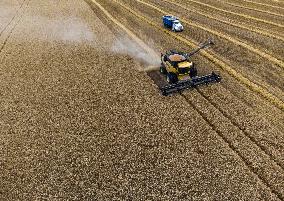 Wheat Harvest - Canada