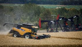 Wheat Harvest - Canada