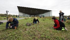 Landscape design around the Estonian National Museum