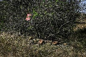 Reconnaissance platoon of 3rd Assault Brigade