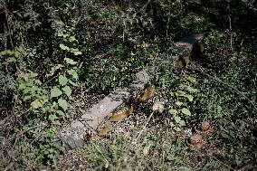 Reconnaissance platoon of 3rd Assault Brigade