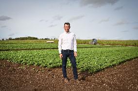 Canned Vegetable Processing Site - Brittany