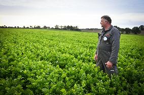 Canned Vegetable Processing Site - Brittany