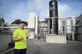 Canned Vegetable Processing Site - Brittany