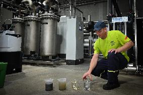 Canned Vegetable Processing Site - Brittany