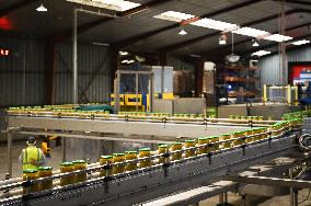 Canned Vegetable Processing Site - Brittany