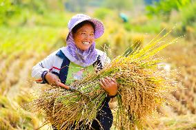 #CHINA-AUTUMN-HARVEST (CN)