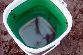 Fishing at Lanzheron beach in Odesa
