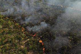 BRAZIL-BAHIA-FOREST FIRE