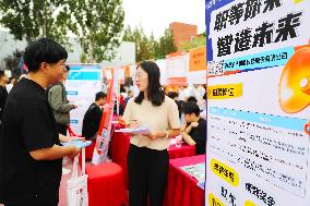 Job Fair in Qingdao