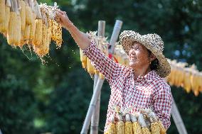 CHINA-ANHUI-HARVEST-CROPS DRYING (CN)