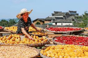 CHINA-ANHUI-HARVEST-CROPS DRYING (CN)