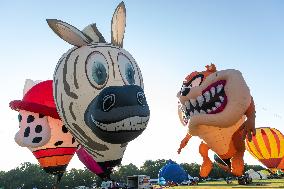 U.S.-PLANO-BALLOON FESTIVAL