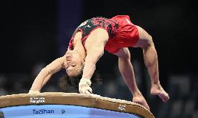 (SP)CHINA-HANGZHOU-ASIAN GAMES-ARTISTIC GYMNASTICS (CN)