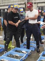 Pufferfish auction in western Japan