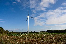 Wind Turbines - Loire Atlantique