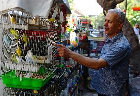 SYRIA-DAMASCUS-PETS-MARKET