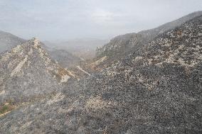 GREECE WILDFIRES AFTERMATH