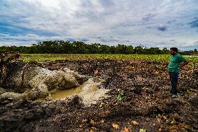 Sri Lanka Is The Country Where The World's Largest Number Of Elephants Die.