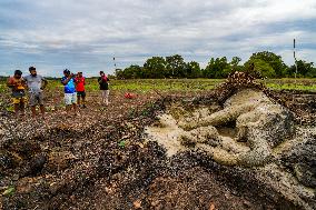 Sri Lanka Is The Country Where The World's Largest Number Of Elephants Die.