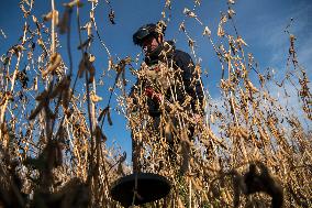 Humanitarian Demining In Zhytomyr Region Of Ukraine.