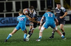 Newcastle Falcons v Sale Sharks - Premiership Rugby Cup