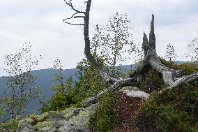 Gorgany mountain range in Ivano-Frankivsk Region