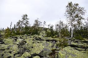 Gorgany mountain range in Ivano-Frankivsk Region