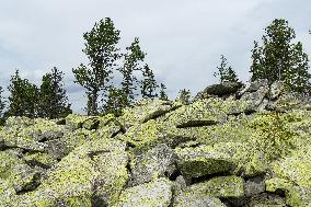 Gorgany mountain range in Ivano-Frankivsk Region