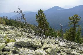 Gorgany mountain range in Ivano-Frankivsk Region