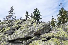 Gorgany mountain range in Ivano-Frankivsk Region