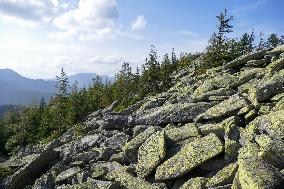 Gorgany mountain range in Ivano-Frankivsk Region