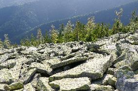 Gorgany mountain range in Ivano-Frankivsk Region