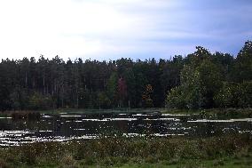 Tinnerö Oak Landscape Nature Reserve In Linkoping, Sweden.