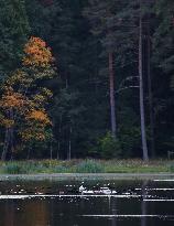 Tinnerö Oak Landscape Nature Reserve In Linkoping, Sweden.